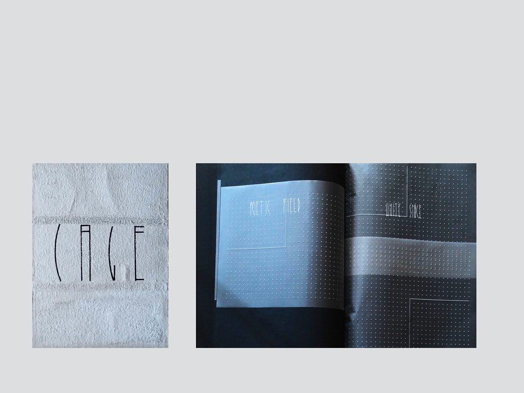 CREATING A POETIC FIELD FOR JOHN CAGE. WHITE SPACE POETIC FIELD.